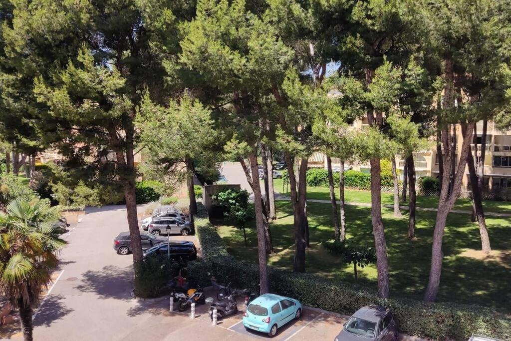 Bel Appartement Avec Piscine Proche Des Plages Six-Fours-les-Plages Exterior photo